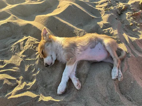 My tiny best friend