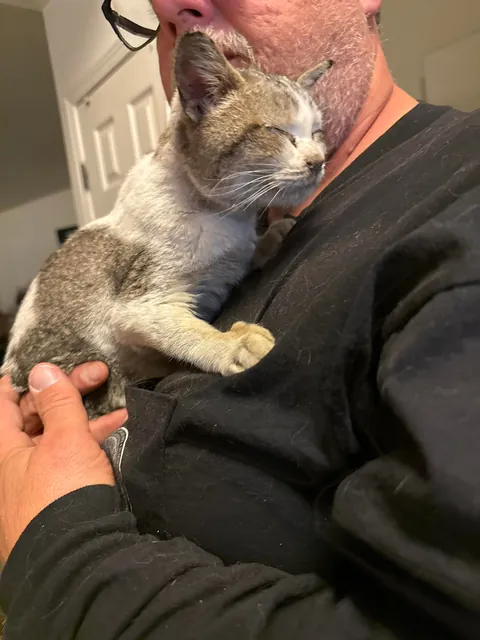 Found this girl shivering and unable to walk at a gas station 🥺