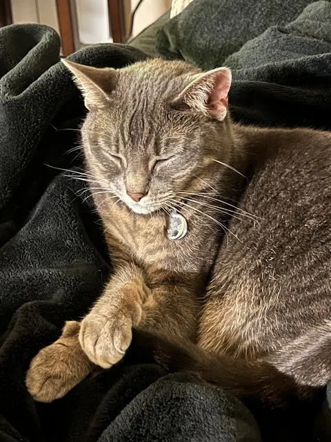 Everyday I wonder how I’m her 5th owner
