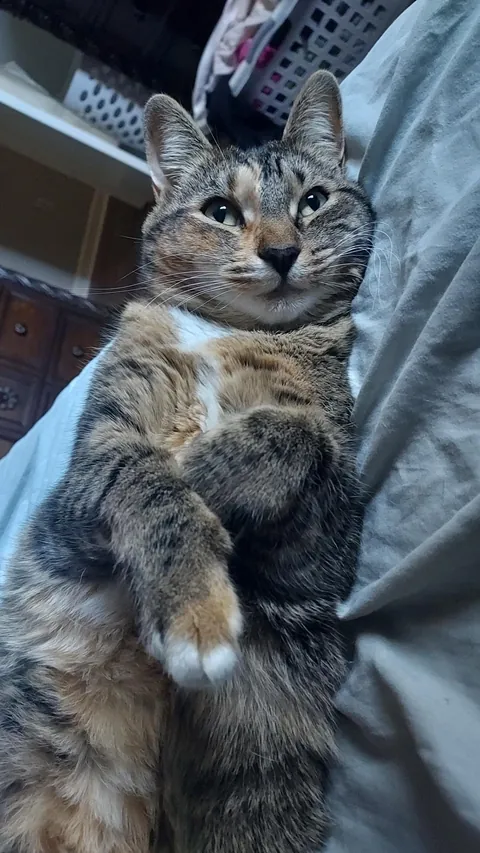 Trying to fool me with her cuteness