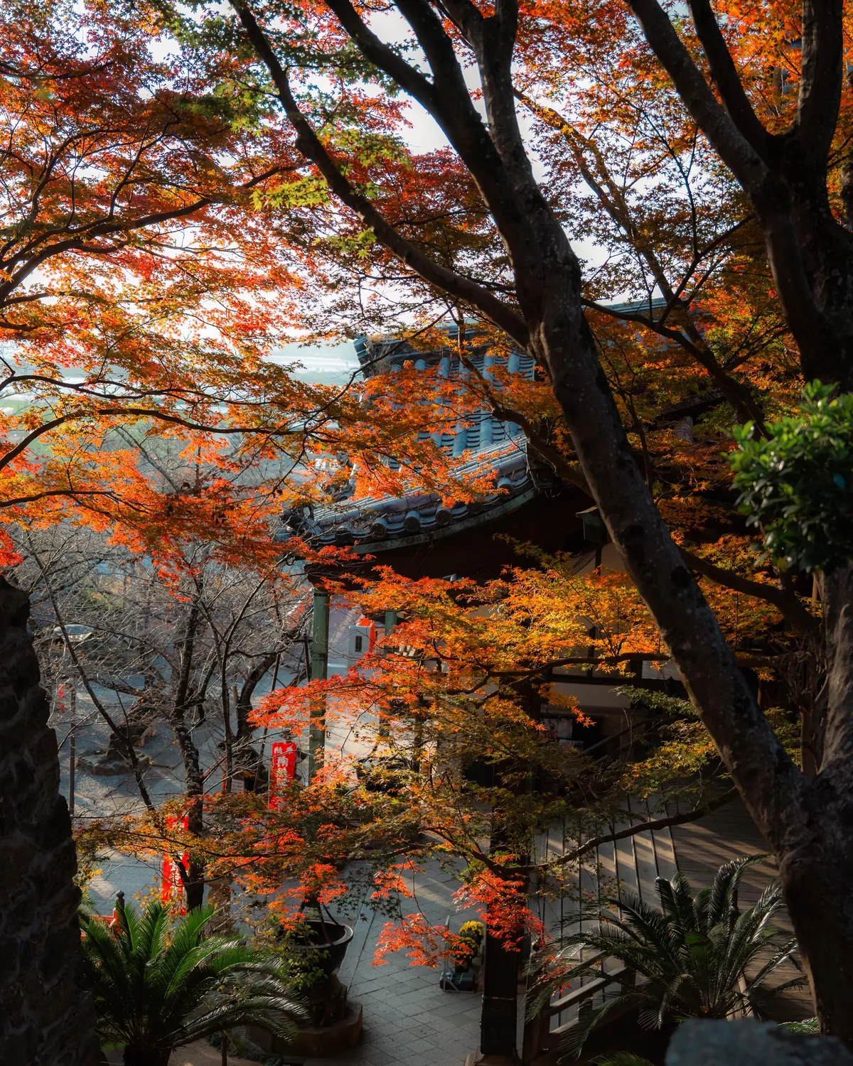 Autumn in Japan