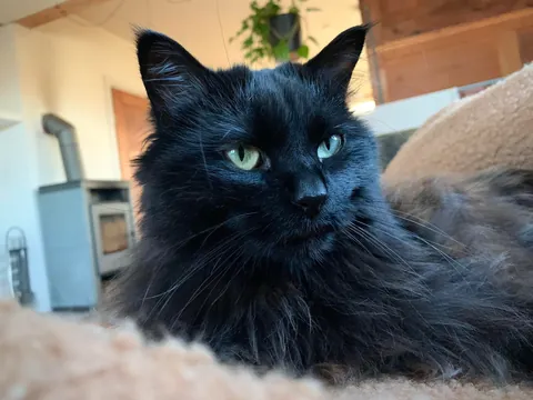 I can't believe you have been gone for two years