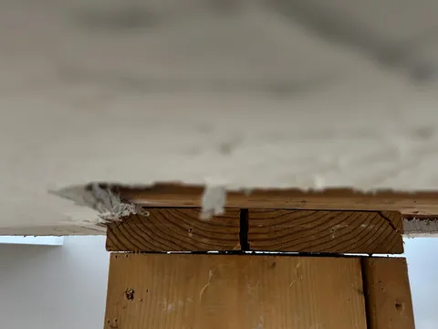 Load Bearing Columns?