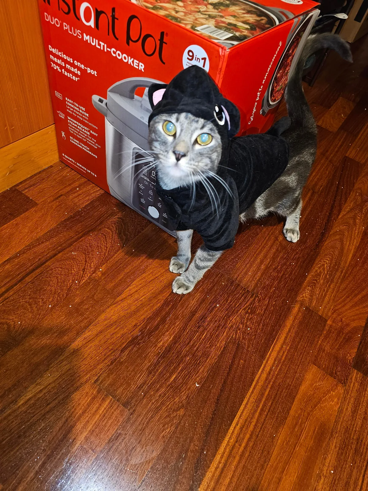 Look Mom! I'm a black cat too