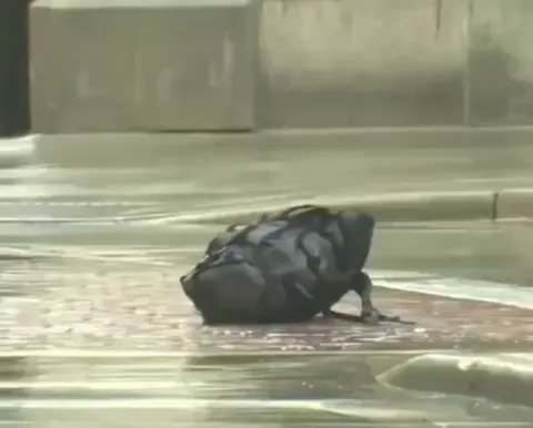Guy gets fed up of waiting till the bomb squad come back