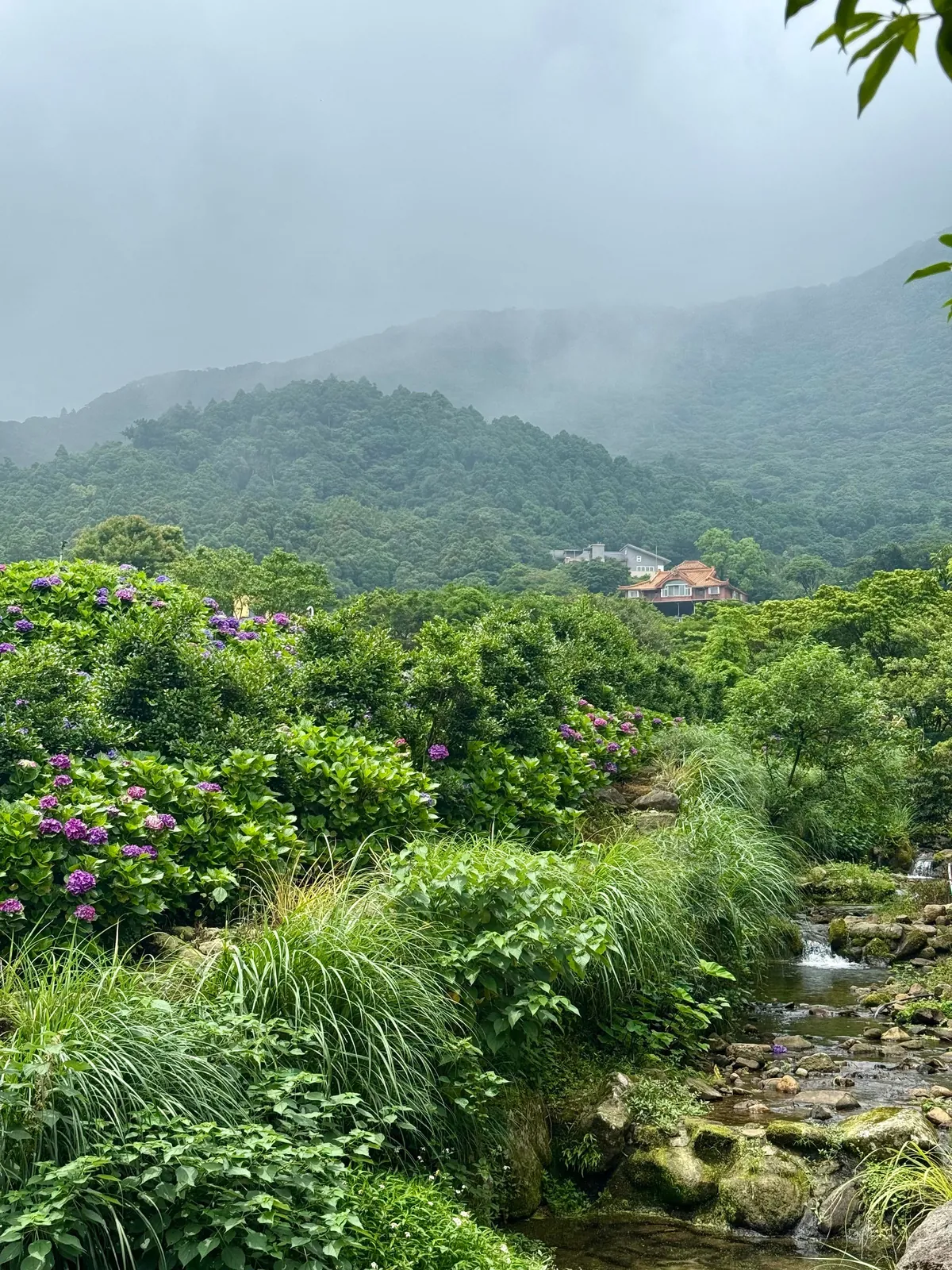 My 8 Days in Beautiful Taiwan