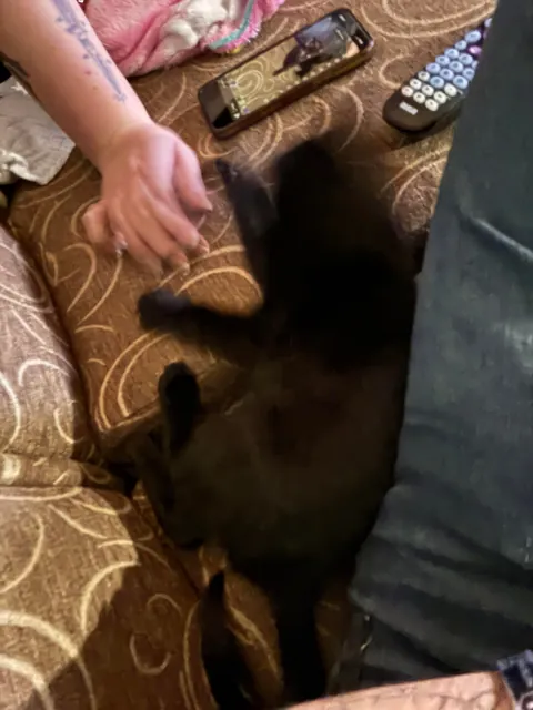 Just got him today :)