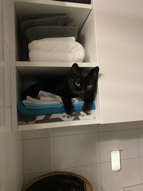 My handsome boy in his bathroom hideout