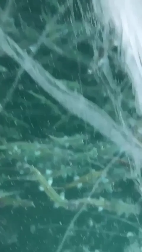 🔥 Ice fishing in 40' water on a very clear Lake Superior