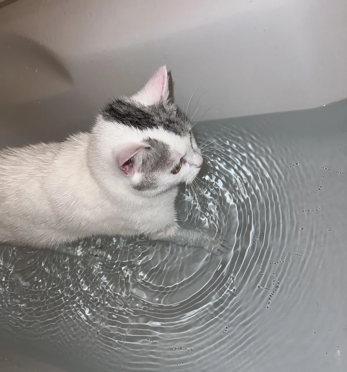 She fell into the bathtub one day - now she loves it