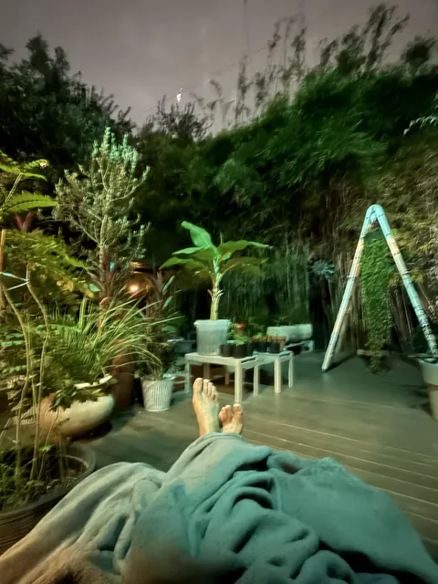 My garden right now…