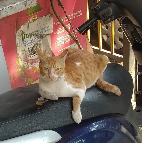 Before (in 2020) and After (in 2025)