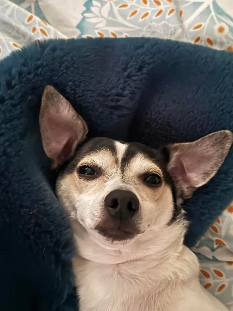 I look up from my phone to see Milo airing out his peets
