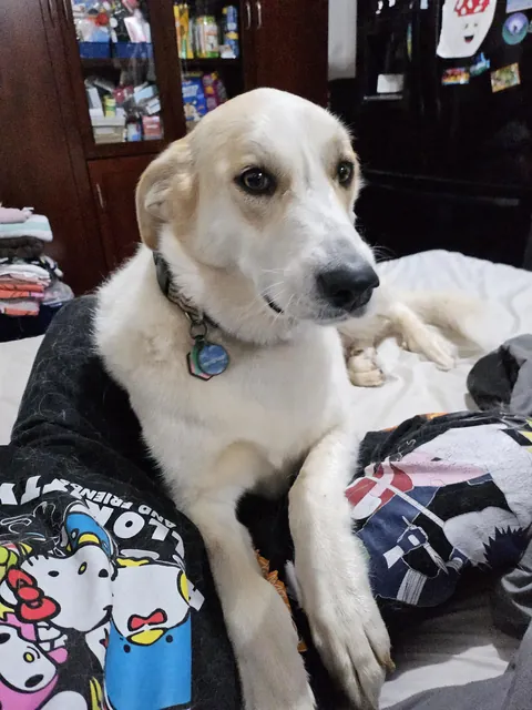 My sweet babygirl 💕