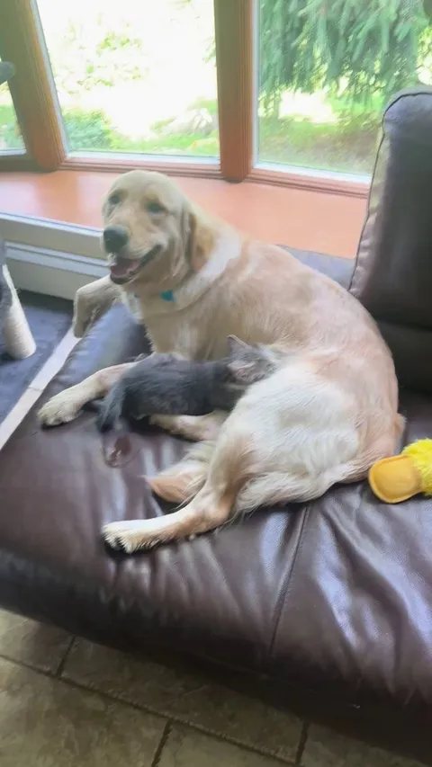 I guess I’m a mommy now