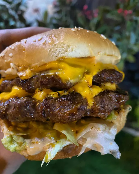 [Homemade] Double cheeseburger
