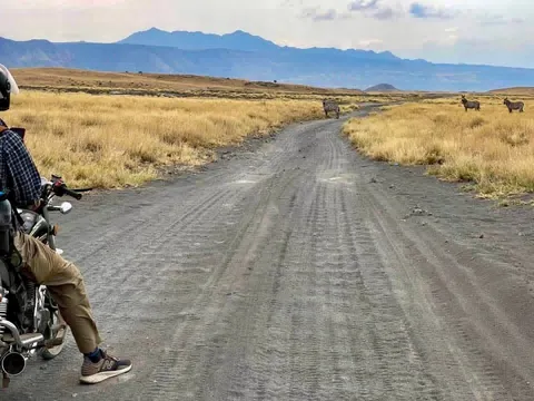 I took my 17 year old nephew to Tanzania. We found two boda-boda drivers in Arusha who let us hire their bikes, but not them. Rode up to Lake Natron. Flamingos!