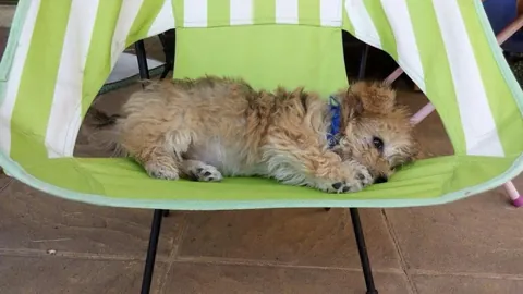 Here's my kinda old guy, before and after