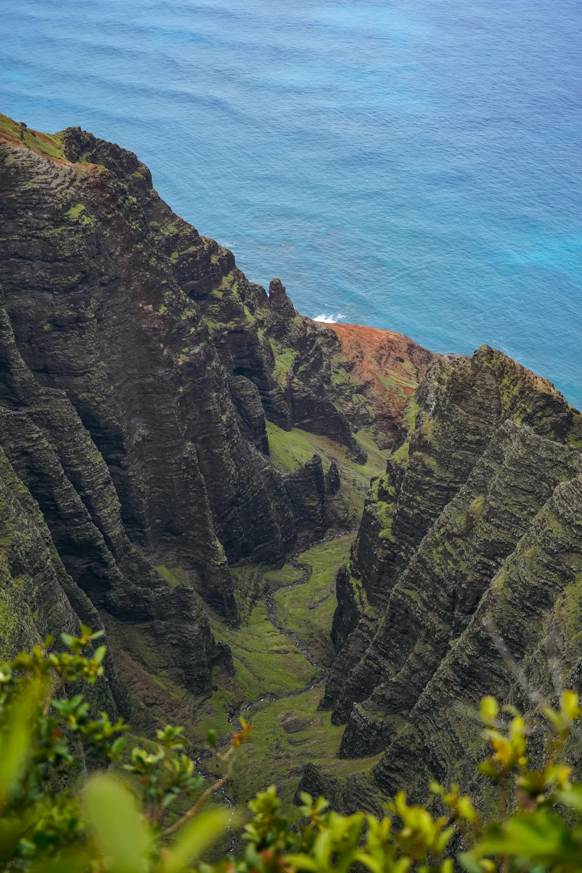 Awa’awapuhi Valley, Kaua’i [OC] [4000x6000]
