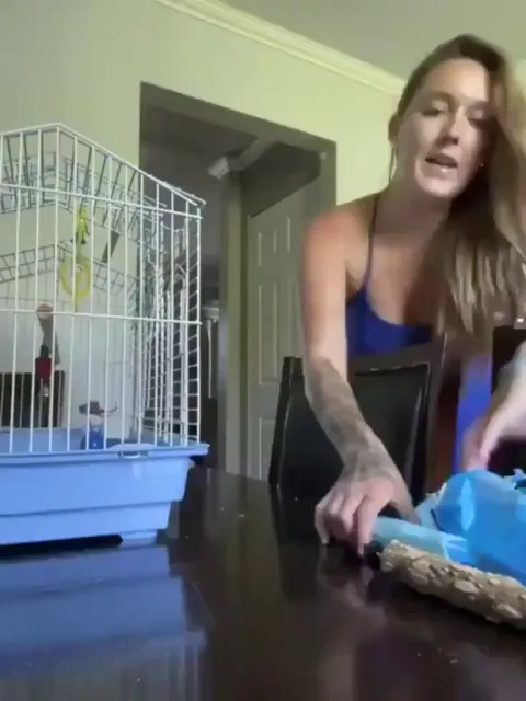 Bird just loves being on camera