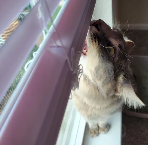 "You won't want to deal with it"