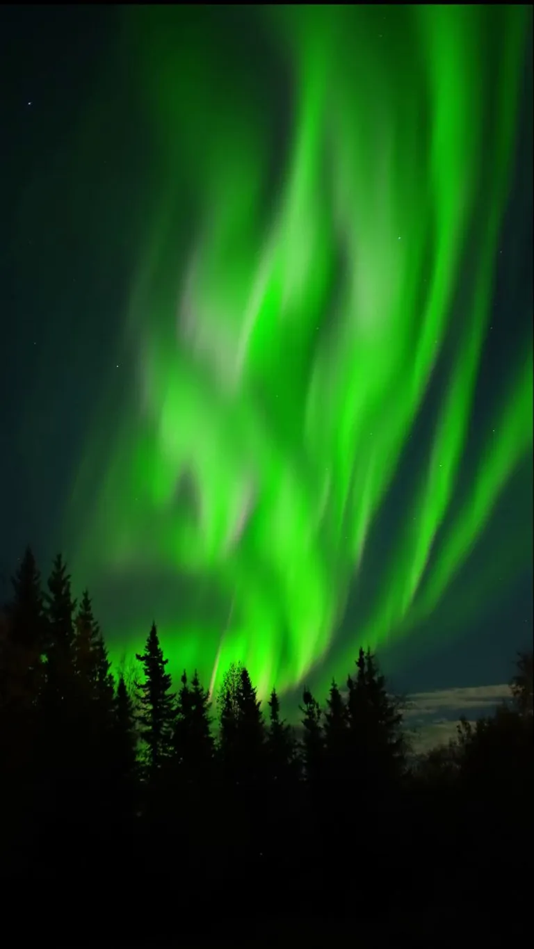 🔥 The aurora borealis above my front yard last night in North Pole, Alaska