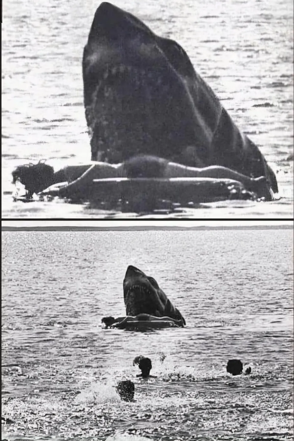 BTS shot of Jaws. Scene did not made the final cut. 