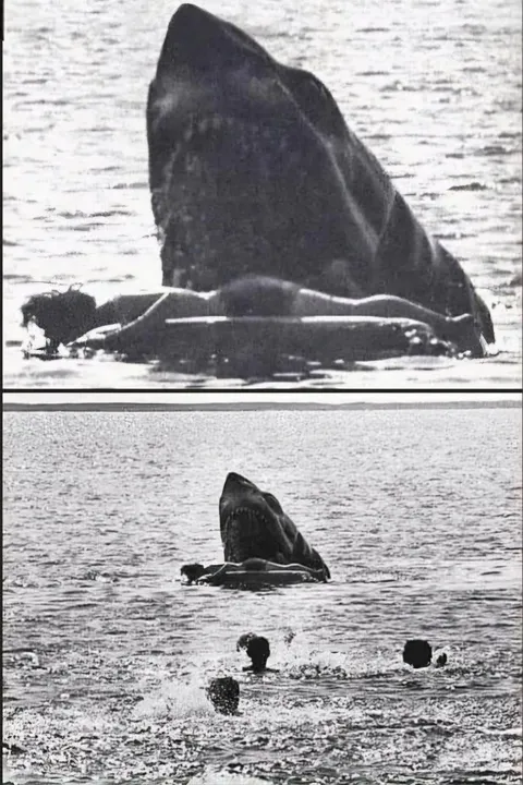 BTS shot of Jaws. Scene did not made the final cut. 