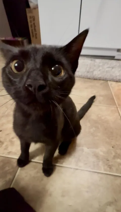 Left her for the first time over night…. Never again 