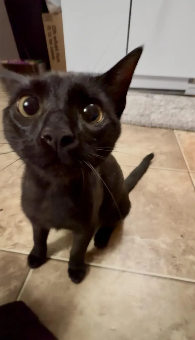 Left her for the first time over night…. Never again 