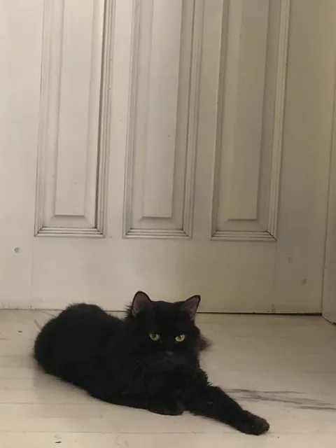 I lost my buddy a week ago.