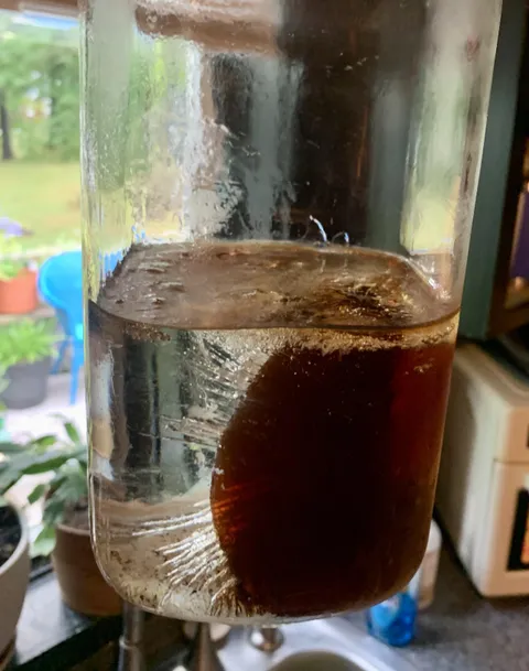 Ice Tea froze in the fridge and self-separated