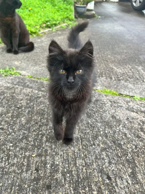 Three months later..