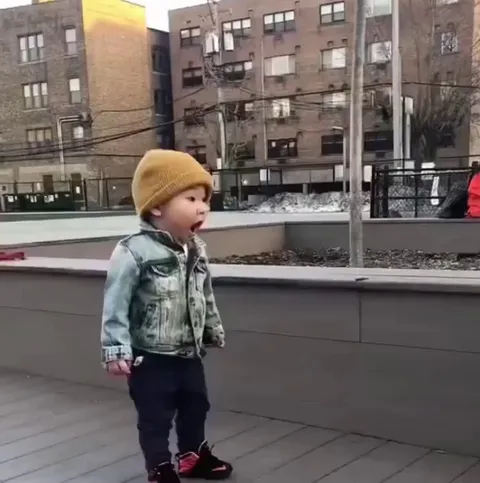 14 months old kid seeing a dog for the first time