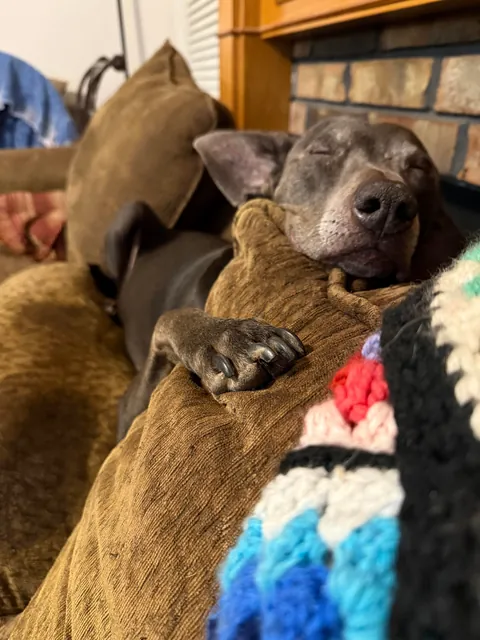 My momma says that I’m the babiest of all the baby boys.