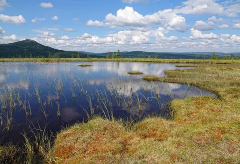 Jotunheim is a real place in Norway, and this week I went there on a road trip. [OC]