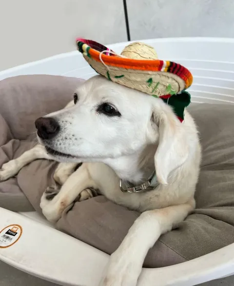 She turned 16 2 months ago