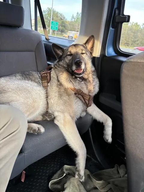 Mokey boy before and after his hike