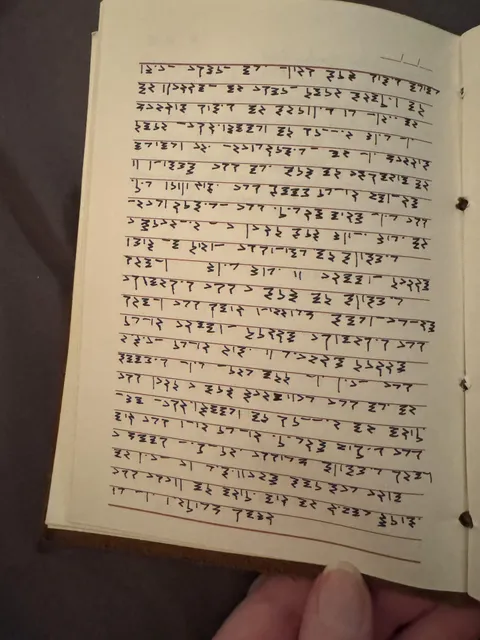 I have entire journals written in code I no longer remember how to translate.