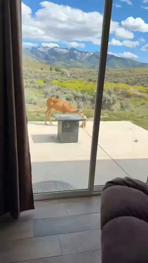 unlikely best friends