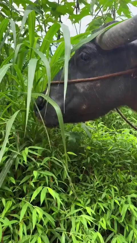 What? I am just eating....