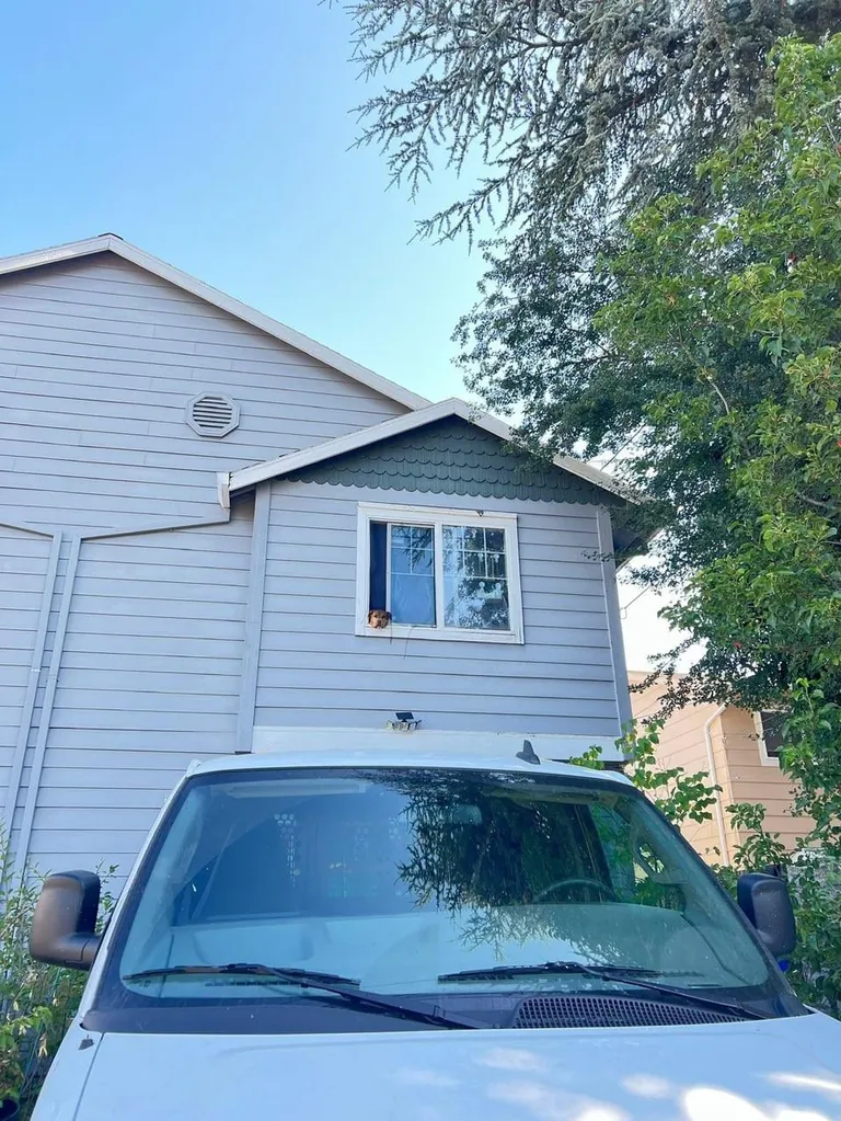 [oc] I always hear people say “hi doggy” from my bedroom, but they don’t know her name. I wanted to change that. Now I hear people say “hi Emma”