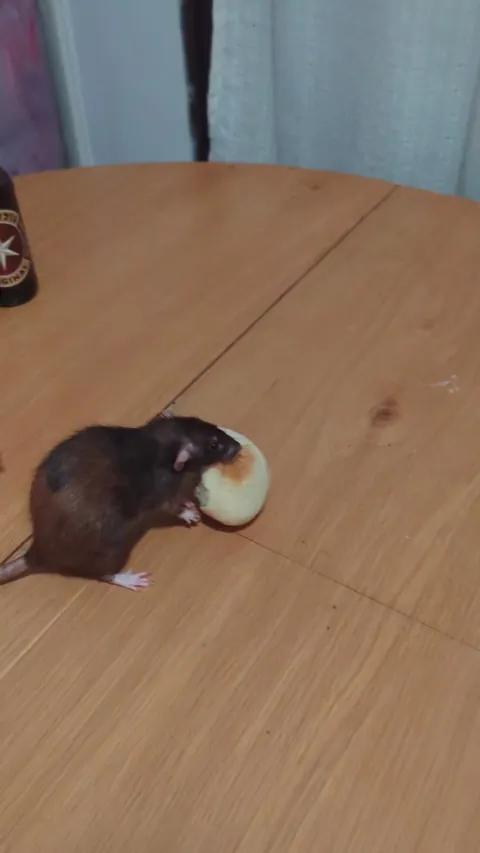 She is trying very hard and she is very determined