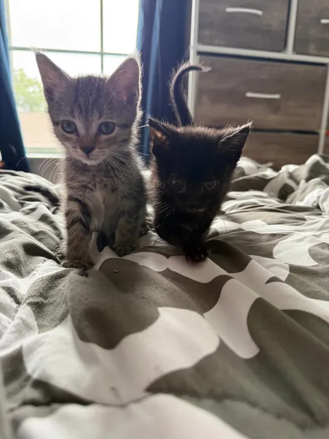 From 6oz to fat ❤️