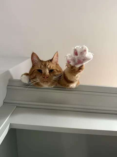 a gawd reaches down from the heavens above