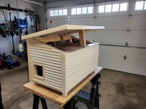 Upgrade for the neighborhood stray