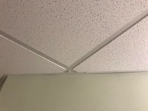 This tiny ceiling tile at my house