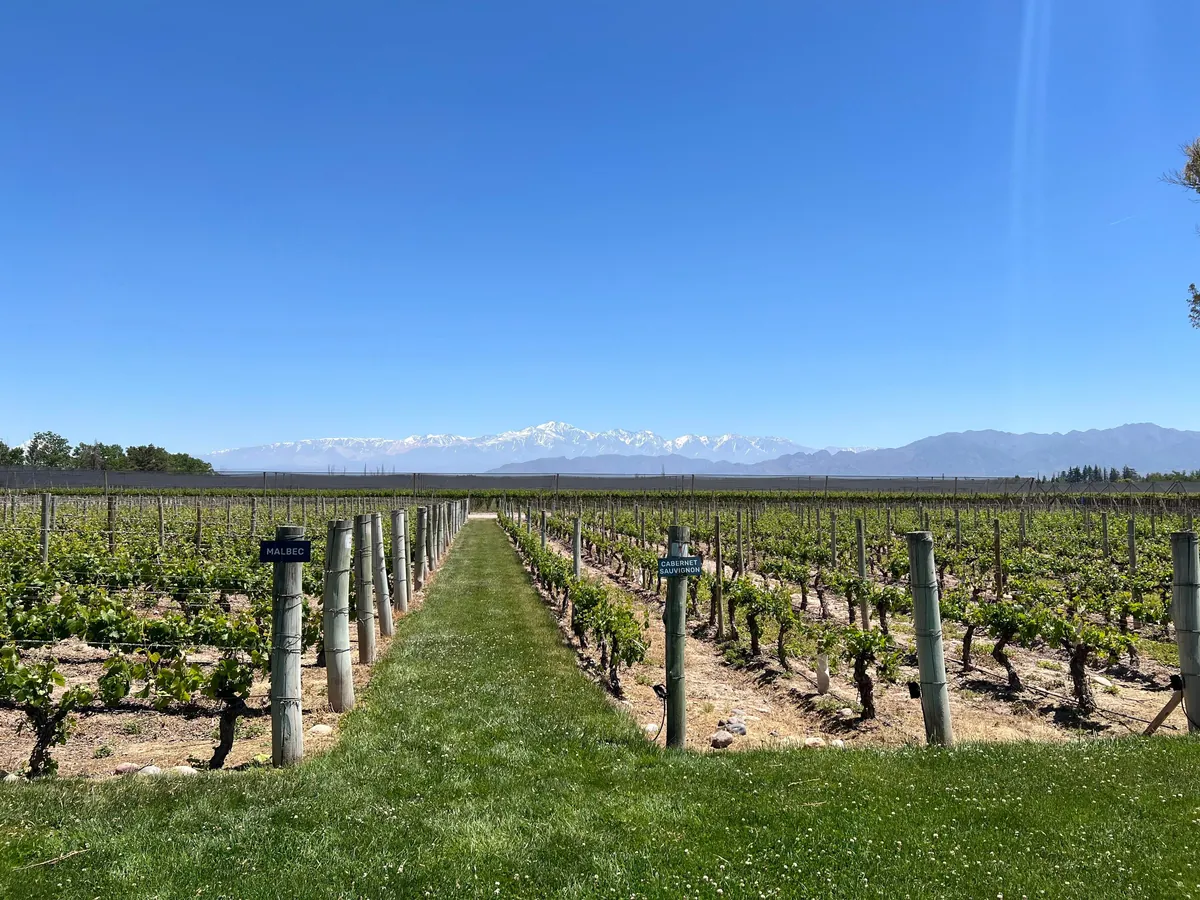 2 Weeks in Argentina - A Synopsis to Help Others