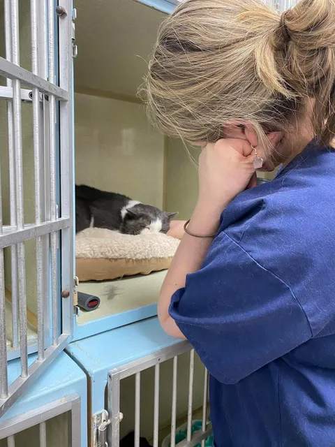 Update on Géode from our shelter. He has been transferred to a double cage in the adoption room so he has a lot more space to continue his healing and socialisation. 