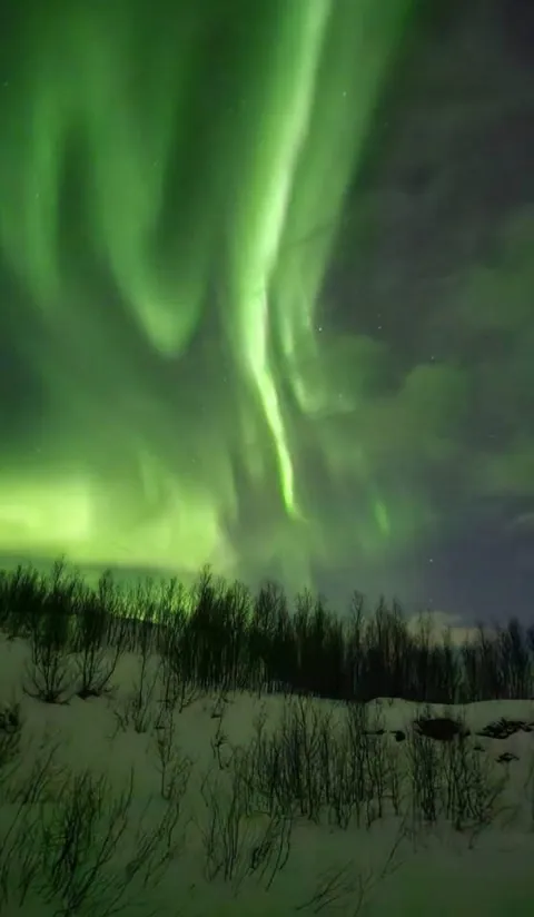 🔥 The northern lights were vibrant last night
